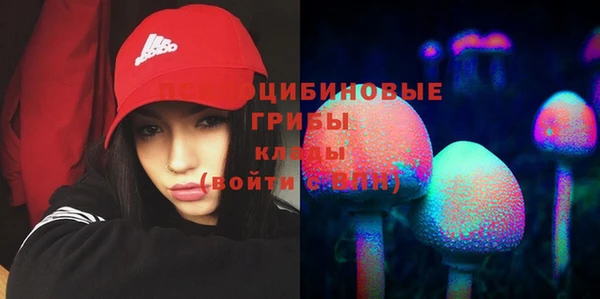 PSILOCYBIN Липки