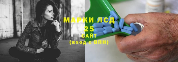 PSILOCYBIN Липки