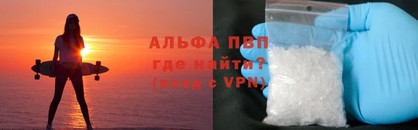 PSILOCYBIN Липки